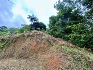 Ojochal lot in phase 9 – jungle views (33)