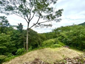 Ojochal lot in phase 9 – jungle views (34)