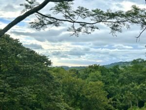 Ojochal lot in phase 9 – jungle views (35)