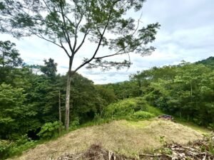 Ojochal lot in phase 9 – jungle views (36)