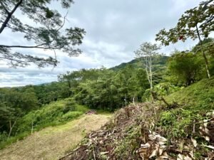 Ojochal lot in phase 9 – jungle views (37)