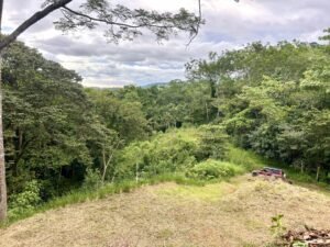 Ojochal lot in phase 9 – jungle views (4)