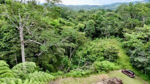Ojochal lot in phase 9 – jungle views (40)