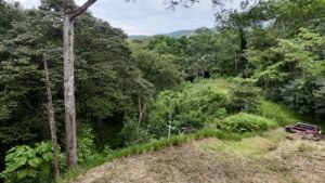 Ojochal lot in phase 9 – jungle views (41)
