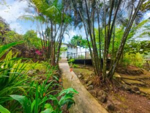 Prime commercial property in Ojochal (1)