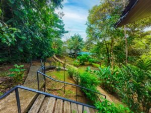 Prime commercial property in Ojochal (10)