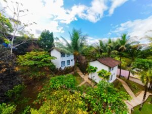 Prime commercial property in Ojochal (3)