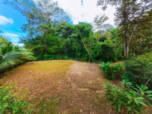 Prime commercial property in Ojochal (30)