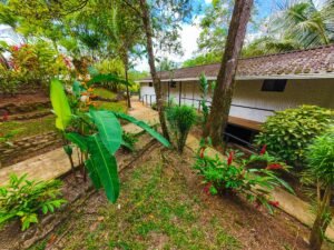 Prime commercial property in Ojochal (31)