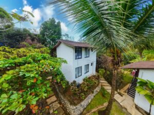 Prime commercial property in Ojochal (34)