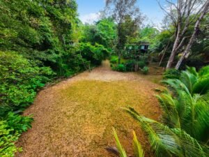 Prime commercial property in Ojochal (38)