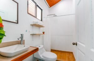 Prime commercial property in Ojochal (4)