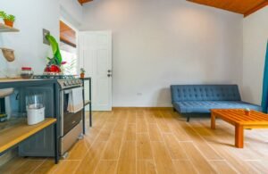 Prime commercial property in Ojochal (41)