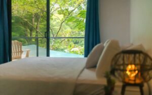 Prime commercial property in Ojochal (43)