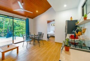 Prime commercial property in Ojochal (52)