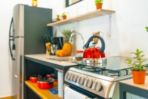 Prime commercial property in Ojochal (53)