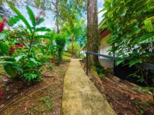 Prime commercial property in Ojochal (7)