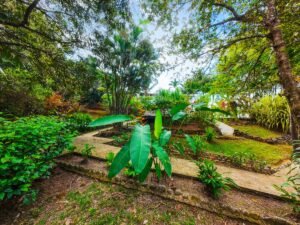 Prime commercial property in Ojochal (8)