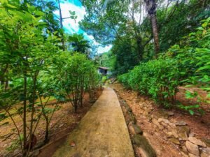 Prime commercial property in Ojochal (9)