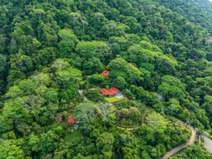 Private Luxury Estate with 3 Homes, Ocean Views & Tropical Privacy in Tres Rios (24)