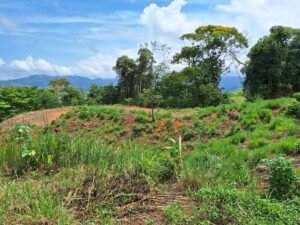 Tinamastes valley property near dominical (1)