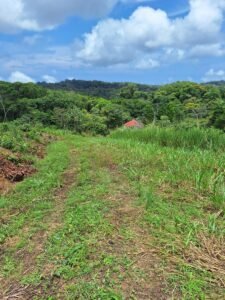 Tinamastes valley property near dominical (11)