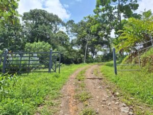 Tinamastes valley property near dominical (18)
