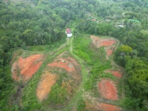 Tinamastes valley property near dominical (2)