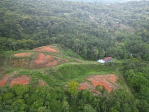 Tinamastes valley property near dominical (3)