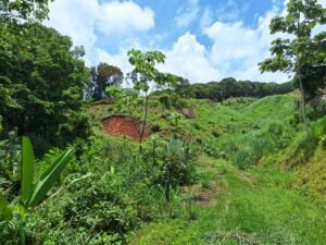 Tinamastes valley property near dominical (3)