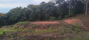 Tinamastes valley property near dominical (4)