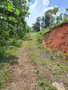Tinamastes valley property near dominical (5)