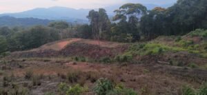 Tinamastes valley property near dominical (5)