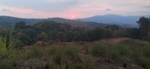 Tinamastes valley property near dominical (6)