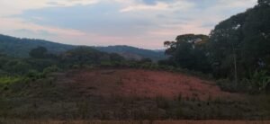 Tinamastes valley property near dominical (7)