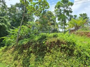 Tinamastes valley property near dominical (7)