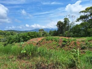 Tinamastes valley property near dominical (9)