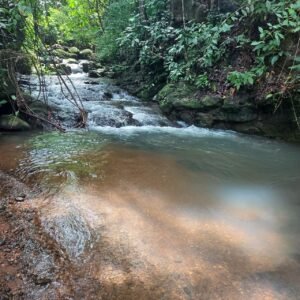 Water Park farm near Dominical 189357 (1)