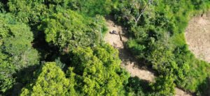 Water Park farm near Dominical 189357 (3)