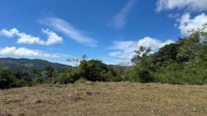 Water Park farm near Dominical 189357 (6)