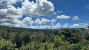 Water Park farm near Dominical 189357 (7)