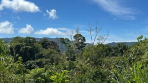 Water Park farm near Dominical 189357 (8)