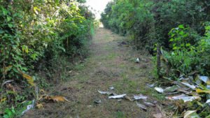 Water Park farm near Dominical 189357 (9)