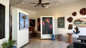 commercial property in Uvita (12)