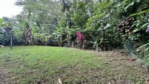 commercial property in Uvita (8)