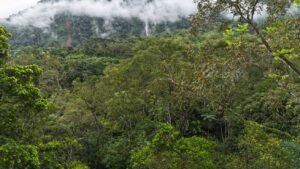 diamante land with waterfall veiws -188915 (1)