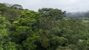 diamante land with waterfall veiws -188915 (10)