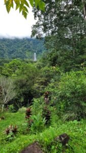 diamante land with waterfall veiws -188915 (2)