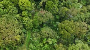 diamante land with waterfall veiws -188915 (3)