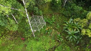 diamante land with waterfall veiws -188915 (5)